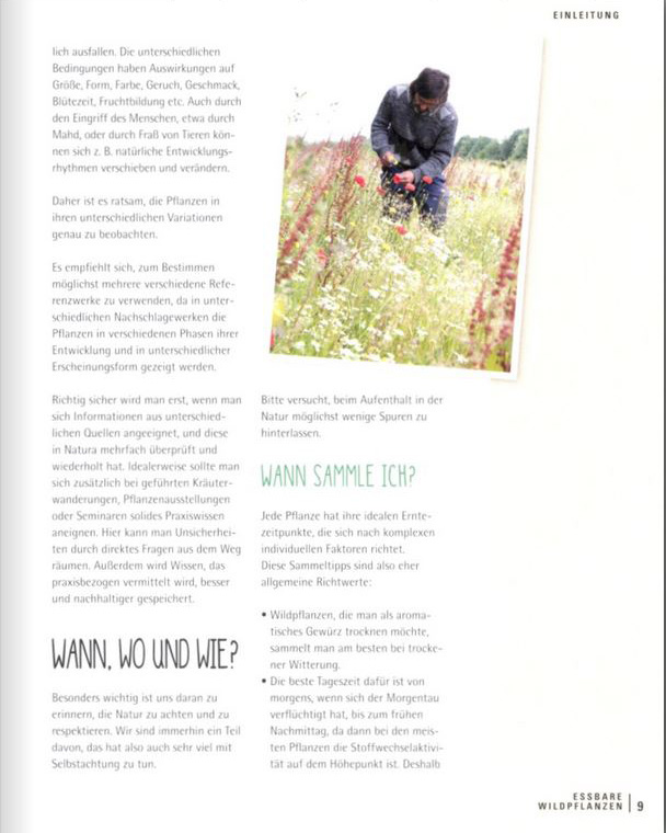 Blick ins Buch, Essbare Wildpflanzen, Einleitung