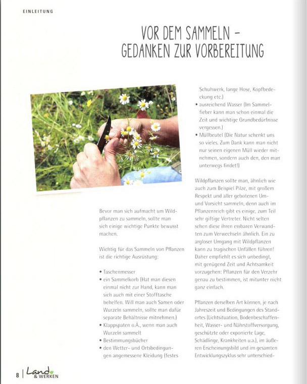 Blick ins Buch, Essbare Wildpflanzen, Vorbereitung
