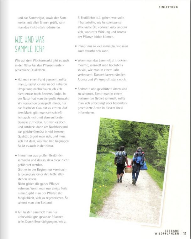 Blick ins Buch, Essbare Wildpflanzen, was sammel ich