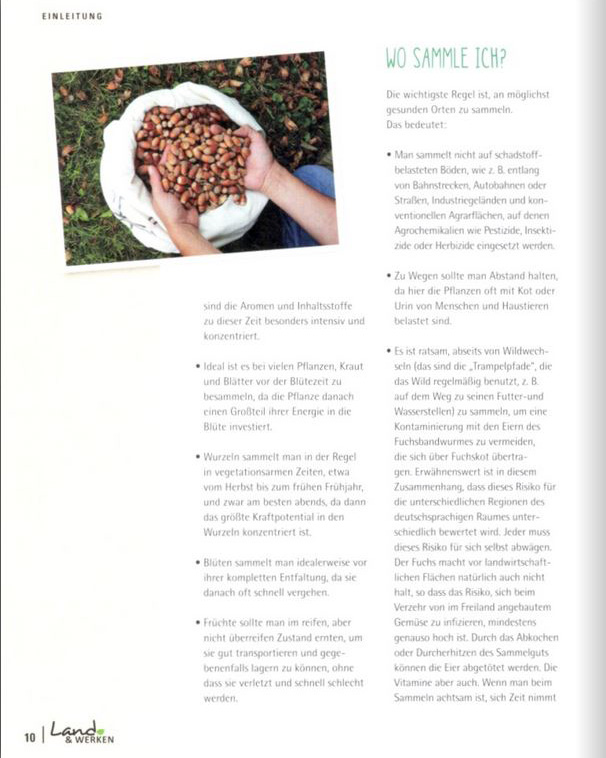 Blick ins Buch, Essbare Wildpflanzen, Wo sammel ich